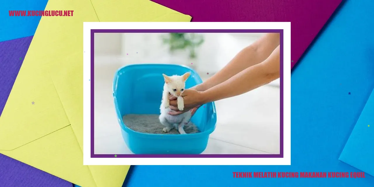 Gambar kucing makanan kucing Equil
