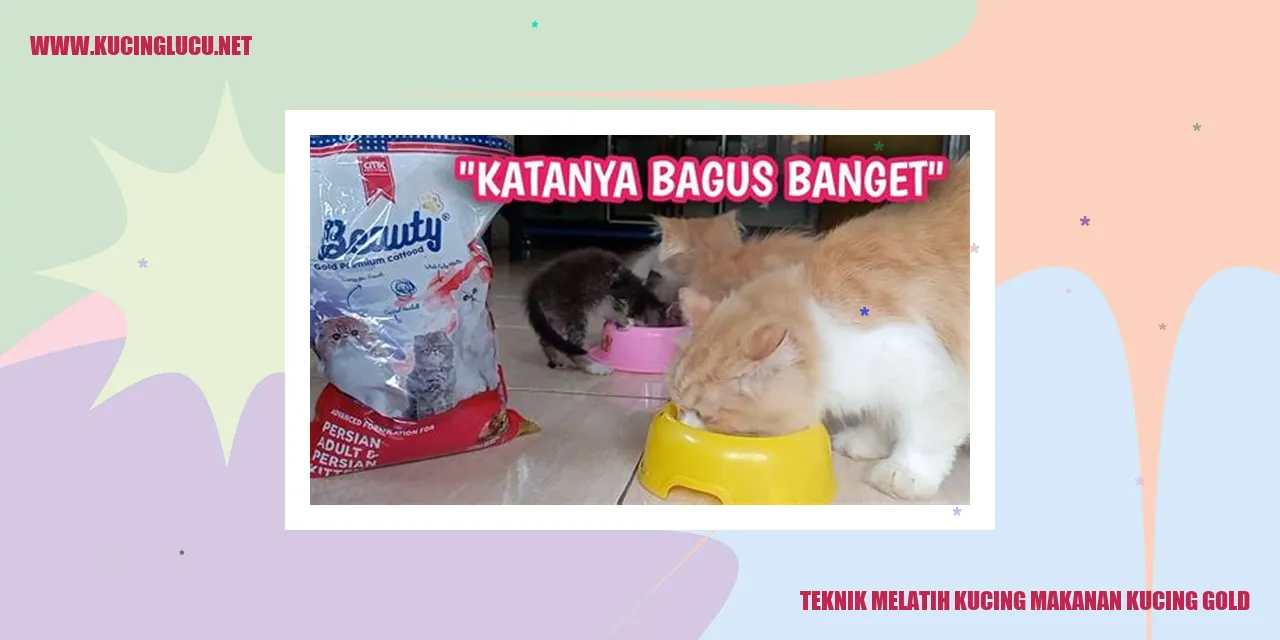 Teknik Melatih Kucing makanan kucing gold