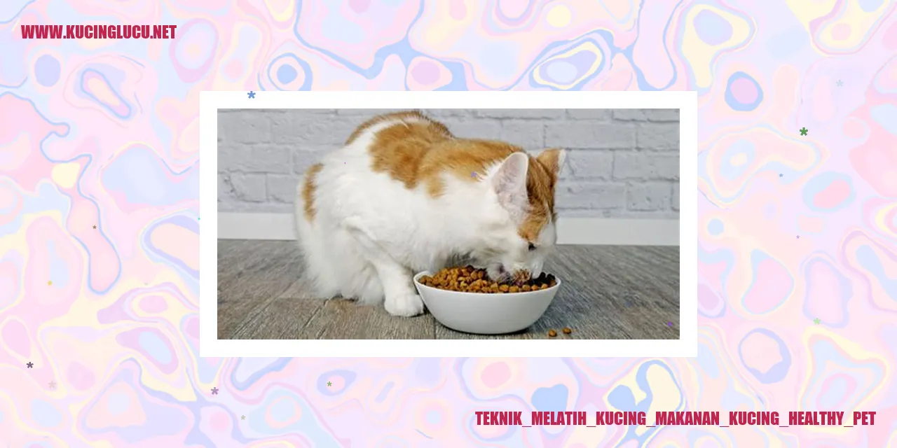 Teknik Melatih Kucing Makanan Kucing Healthy Pet