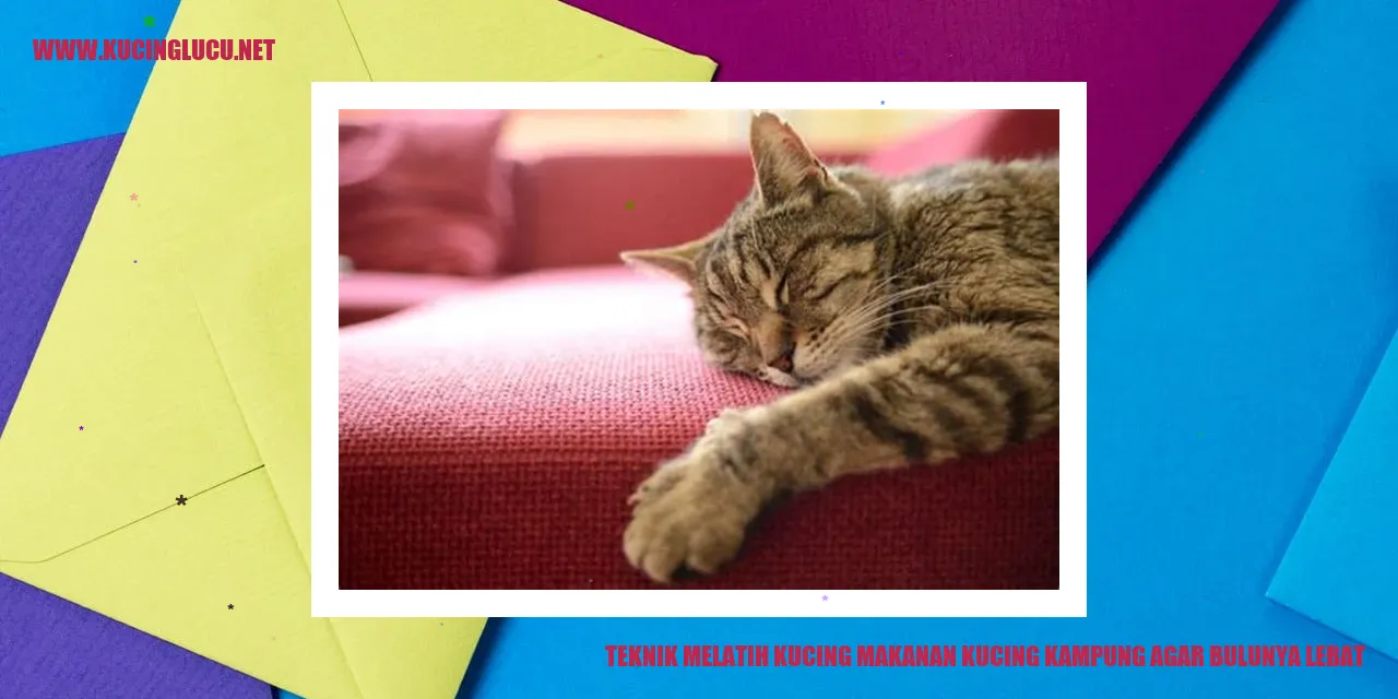 Kucing dengan bulu tebal