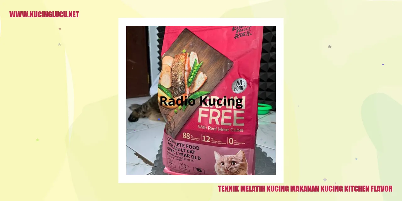 Kucing dengan makanan kucing Kitchen Flavor