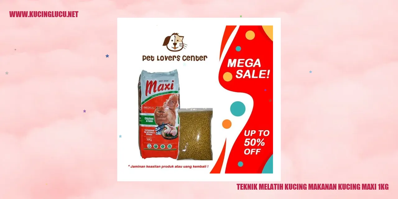 Gambar kucing dan makanan