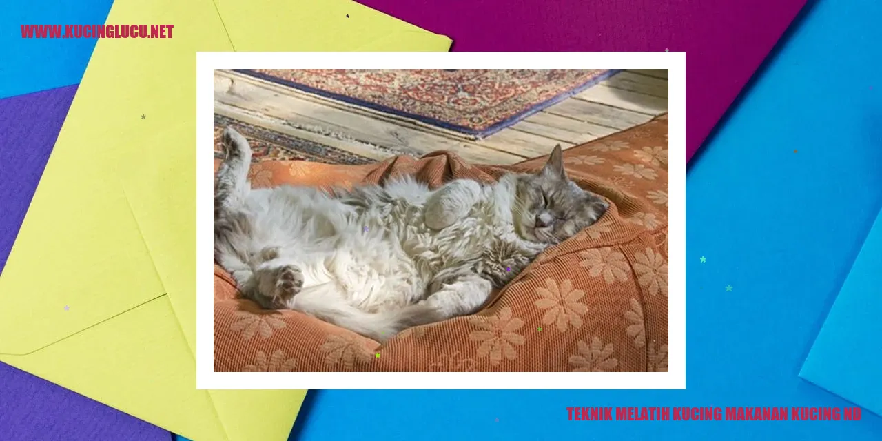 Teknik Melatih Kucing Makan Makanan Kucing
