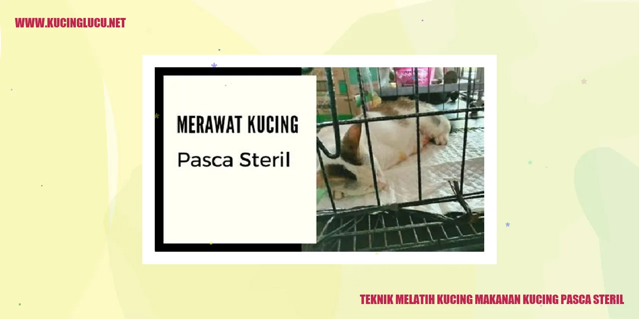 Kucing Makanan Kucing Pasca Steril