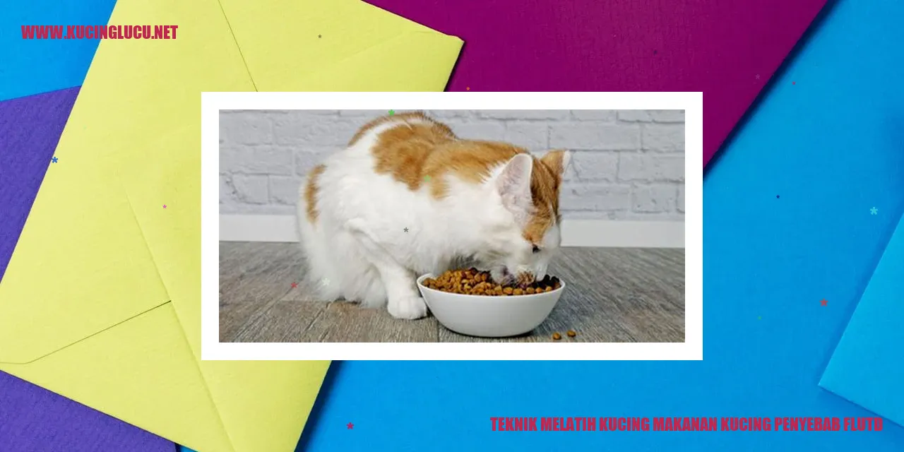 Gambar Kucing Makanan FLUTD