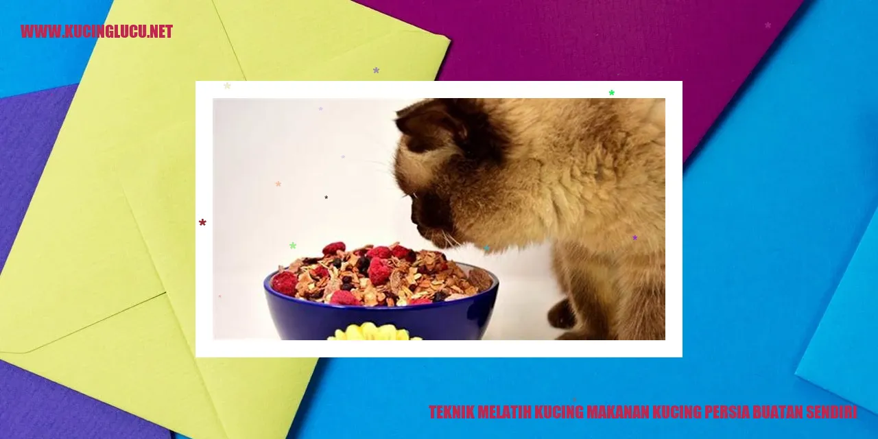 Gambar Teknik Melatih Kucing Makanan Kucing Persia