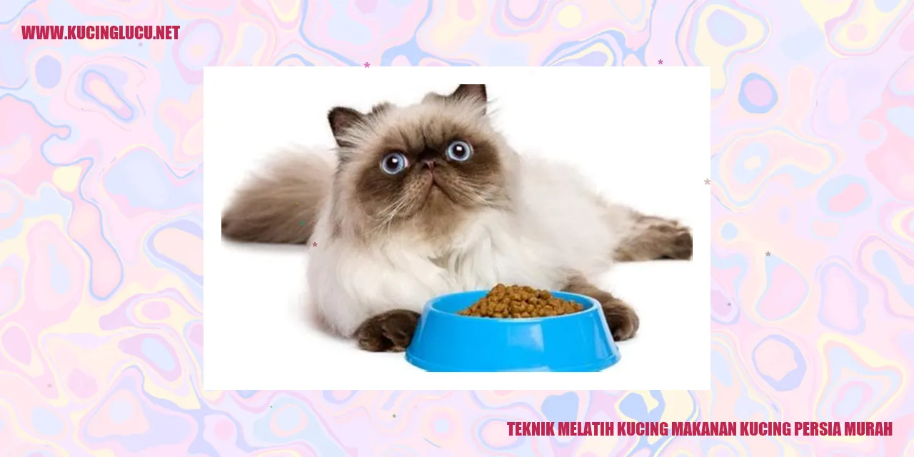 Gambar Makanan Kucing Persia