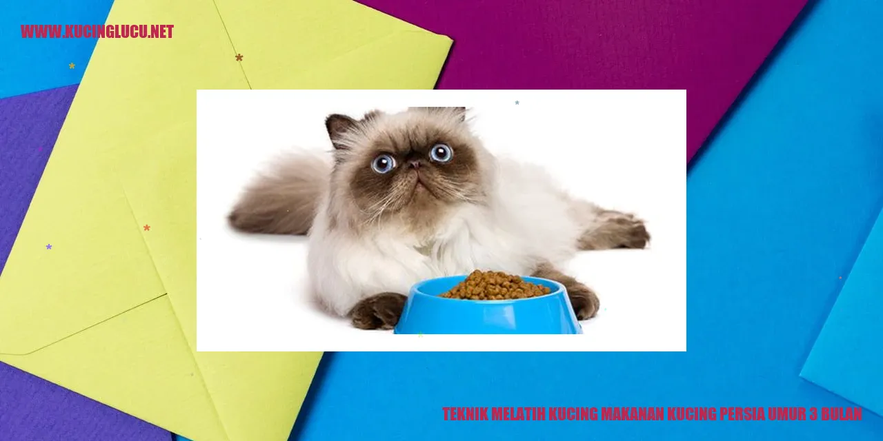 Gambar Kucing Persia