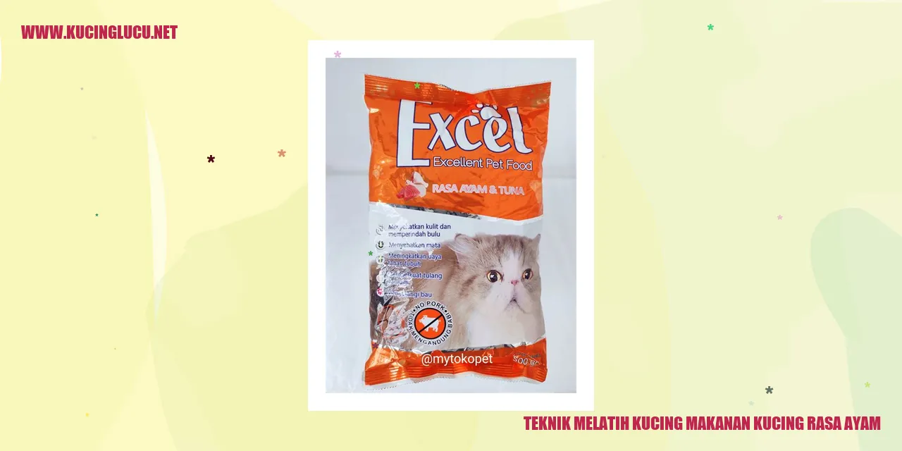 Melatih Kucing Makanan Kucing Rasa Ayam