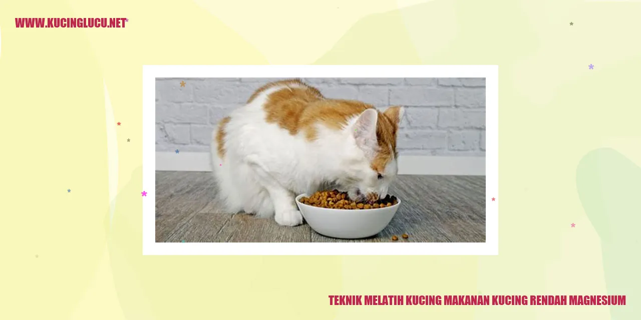 Gambar Kucing