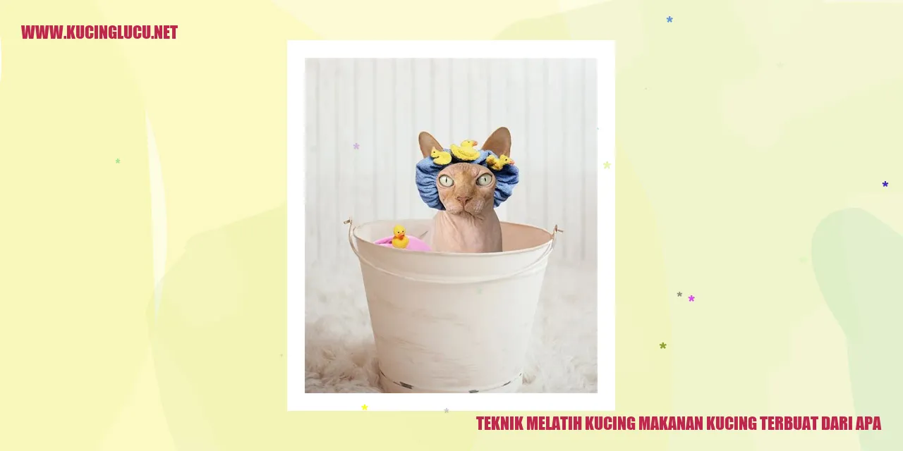 Makanan untuk Kucing