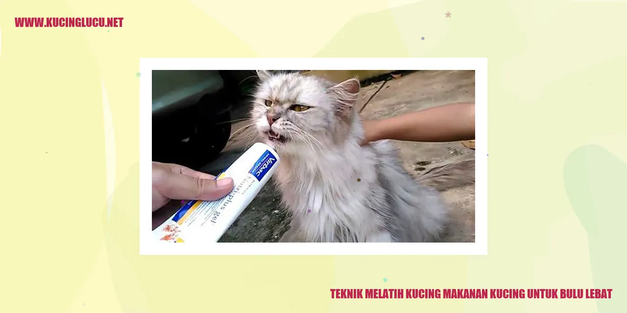 Teknik Melatih Kucing makanan kucing untuk bulu lebat