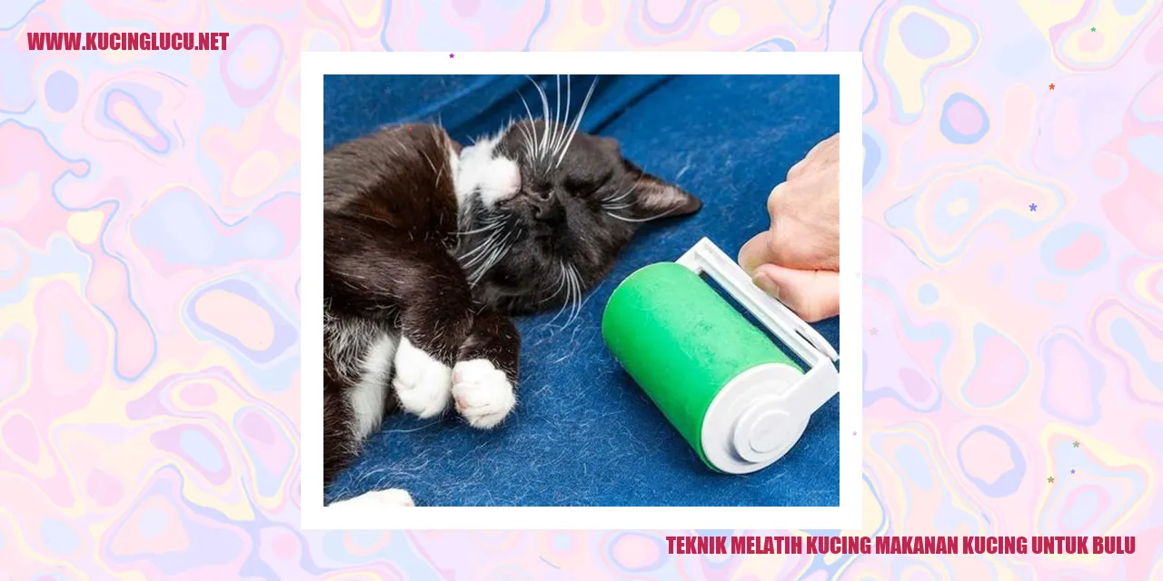 Melatih Kucing untuk Bulu