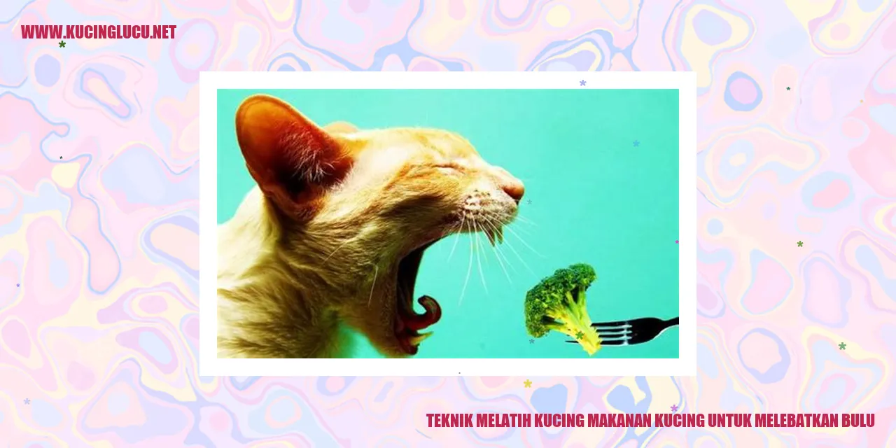 Teknik Melatih Kucing makanan kucing untuk melebatkan bulu