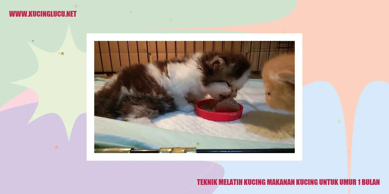 Teknik Melatih Kucing Makanan Kucing untuk Umur 1 Bulan