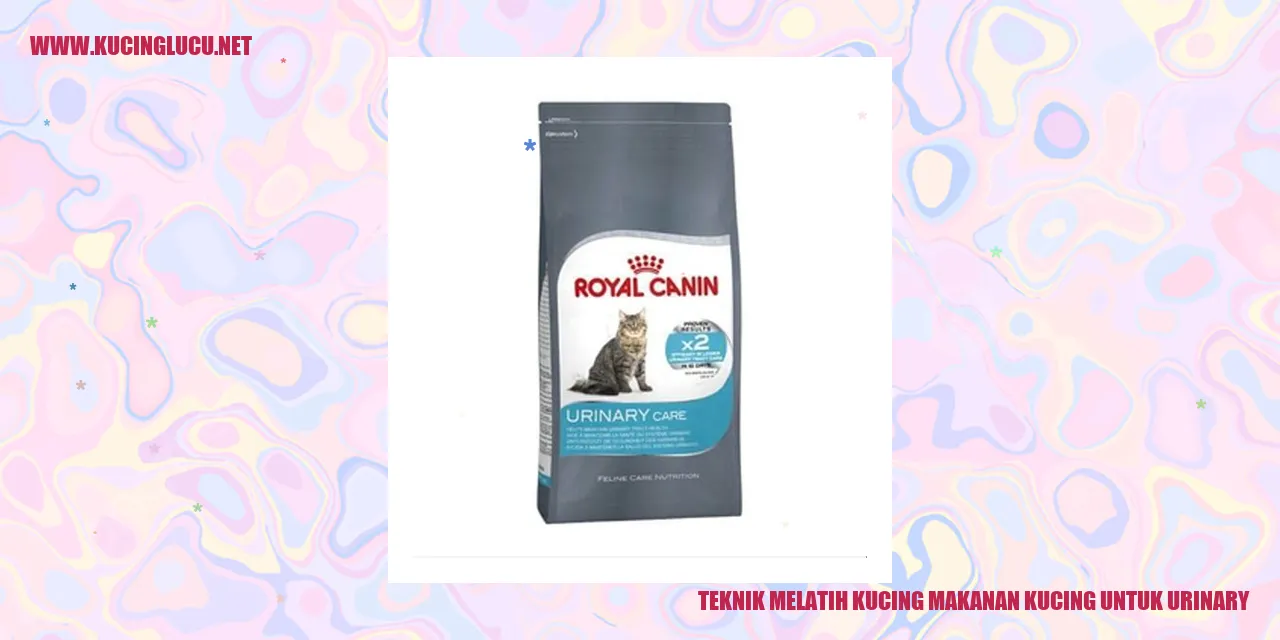 Kucing sedang makan