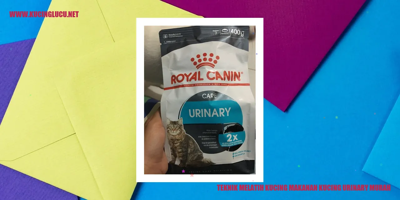 Teknik Melatih Kucing makanan kucing urinary murah