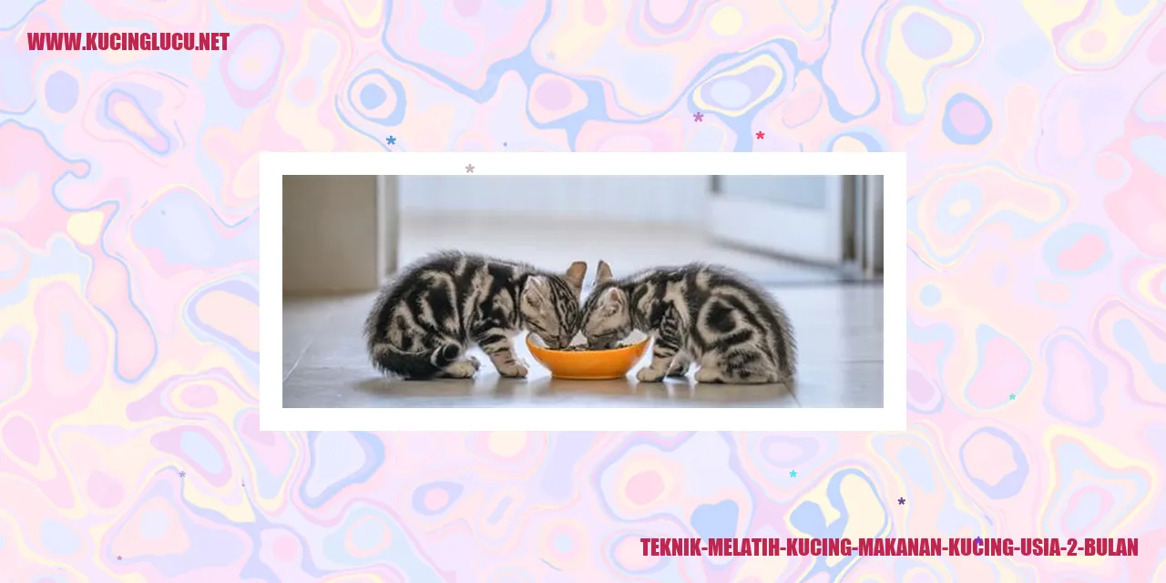 Gambar Kucing