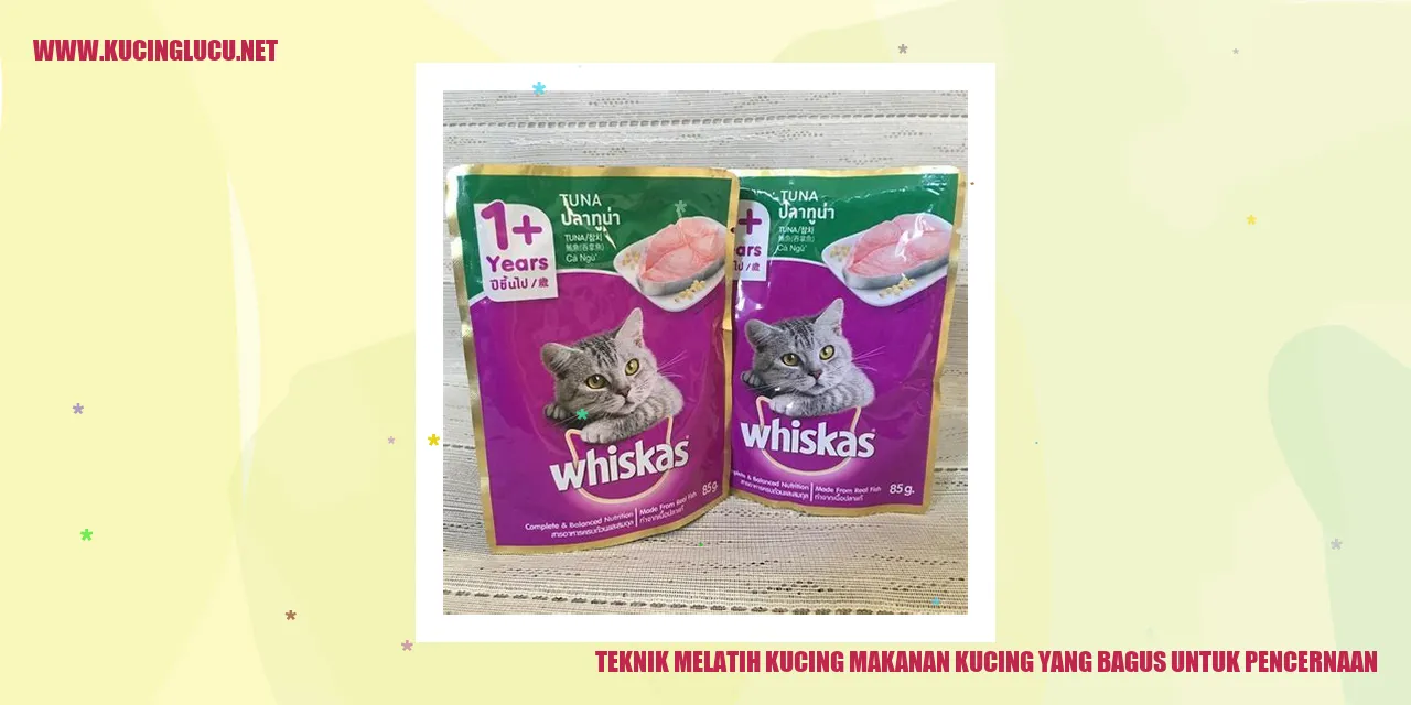 Kucing Makanan Pencernaan