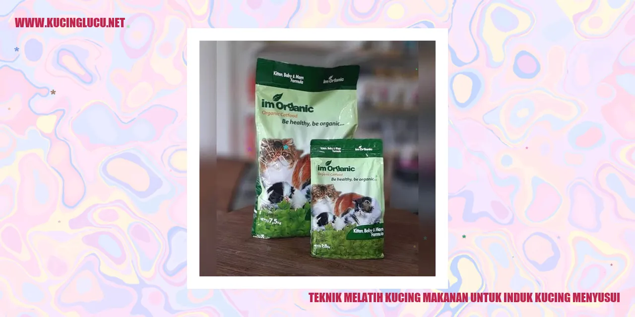 Teknik Melatih Kucing Makanan untuk Induk Kucing Menyusui