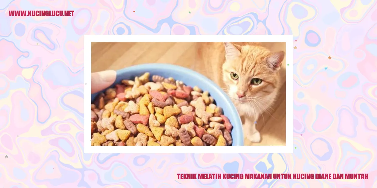 gambar makanan kucing
