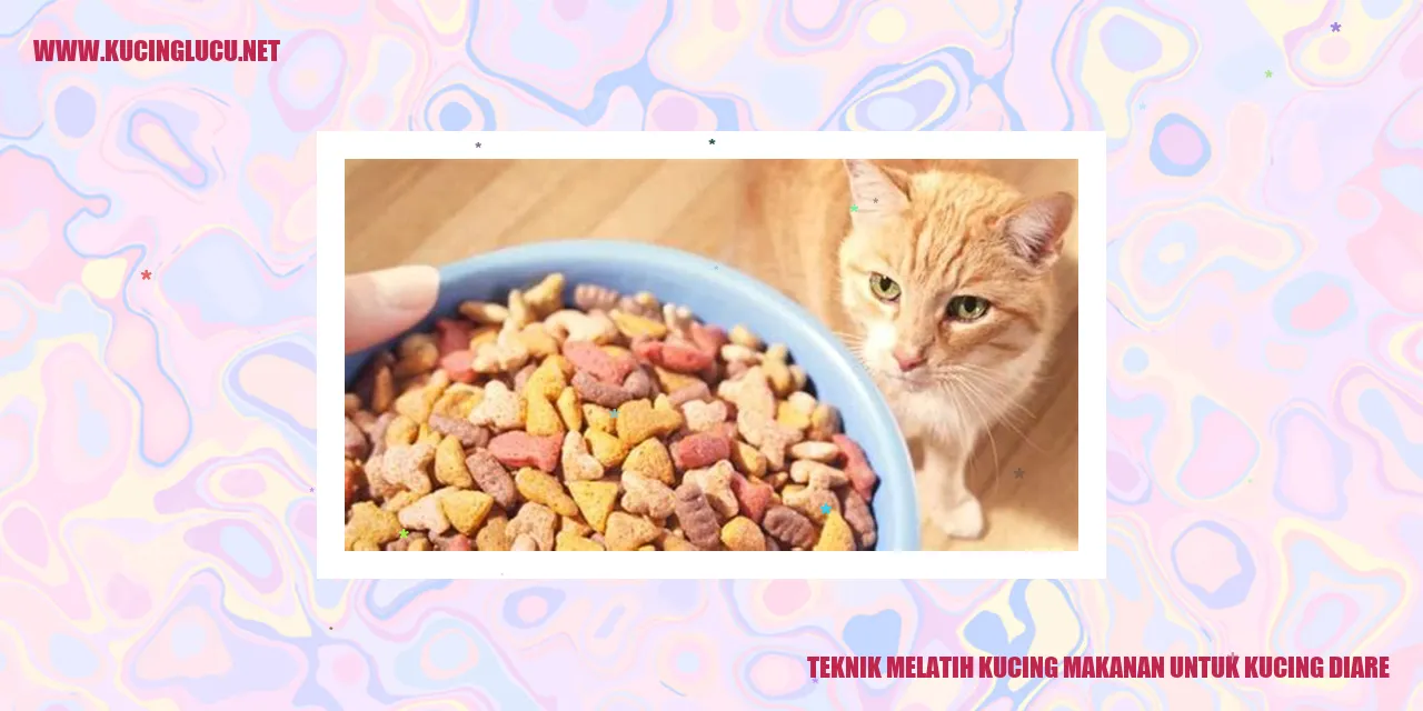 Makanan yang Cocok untuk Kucing dengan Diare