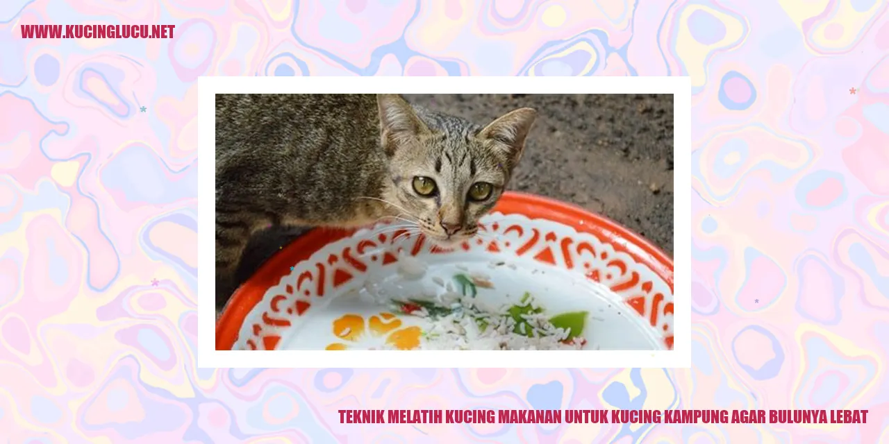 Teknik Melatih Kucing Makanan untuk Kucing Kampung Agar Bulunya Lebat