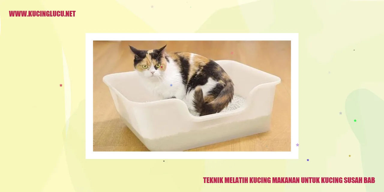 Teknik Melatih Kucing makanan untuk kucing susah bab