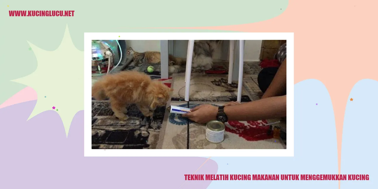 Gambar Kucing Menggemukkan