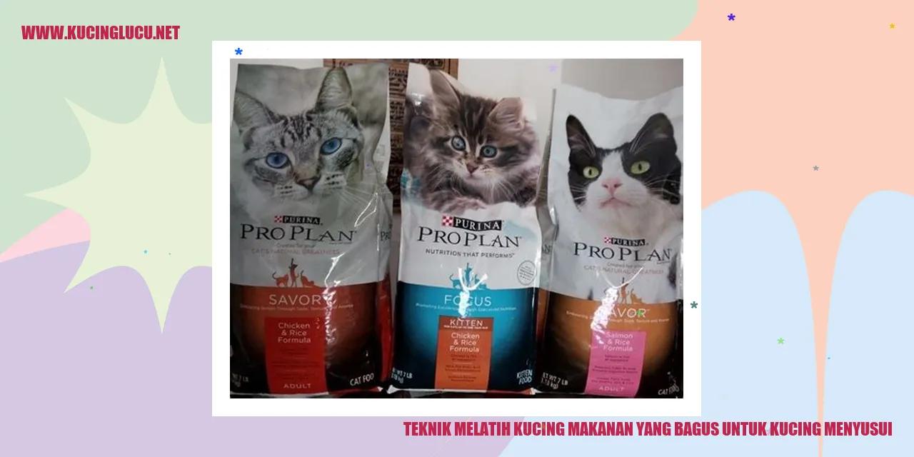 Kucing Menyusui