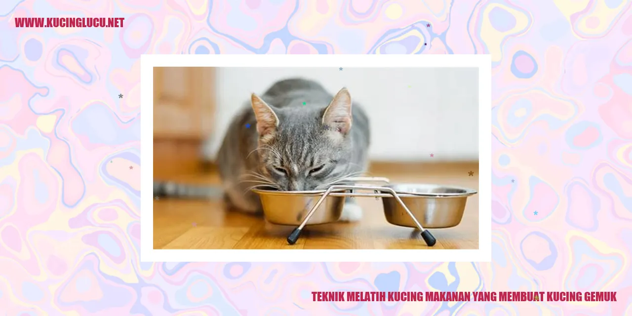 teknik melatih kucing gemuk