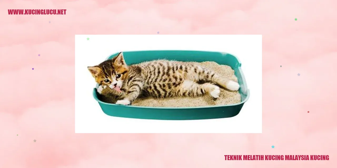 Teknik Melatih Kucing di Malaysia