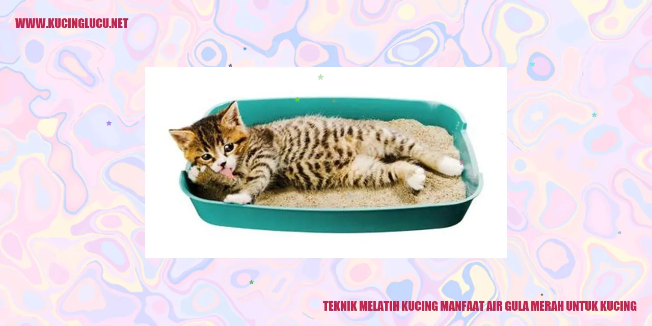 Kucing Minum Air Gula Merah