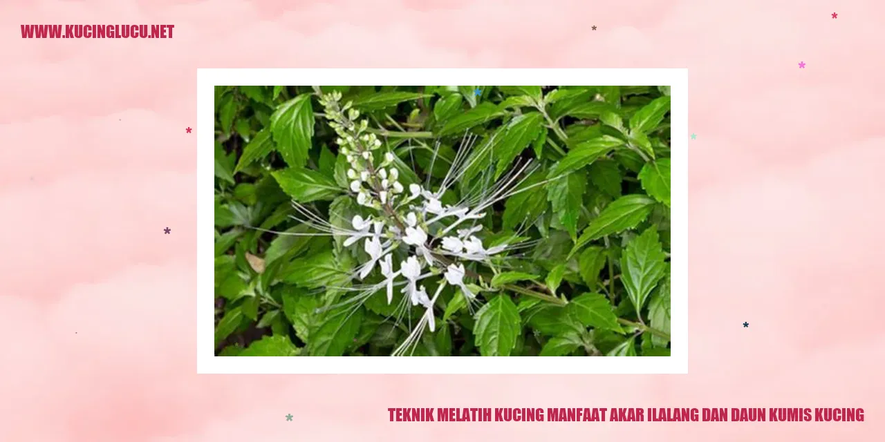 Gambar Kucing yang Menggemaskan