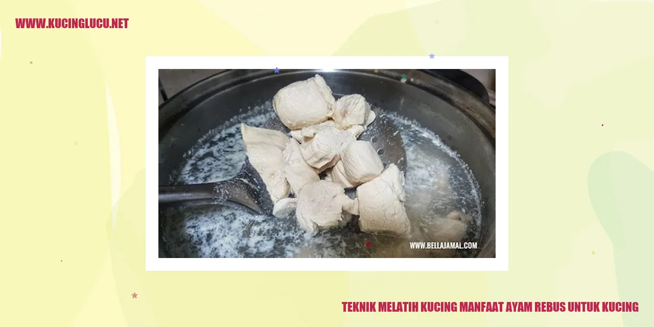 Teknik Melatih Kucing manfaat ayam rebus untuk kucing