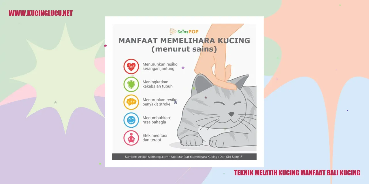 Gambar Kucing Lucu