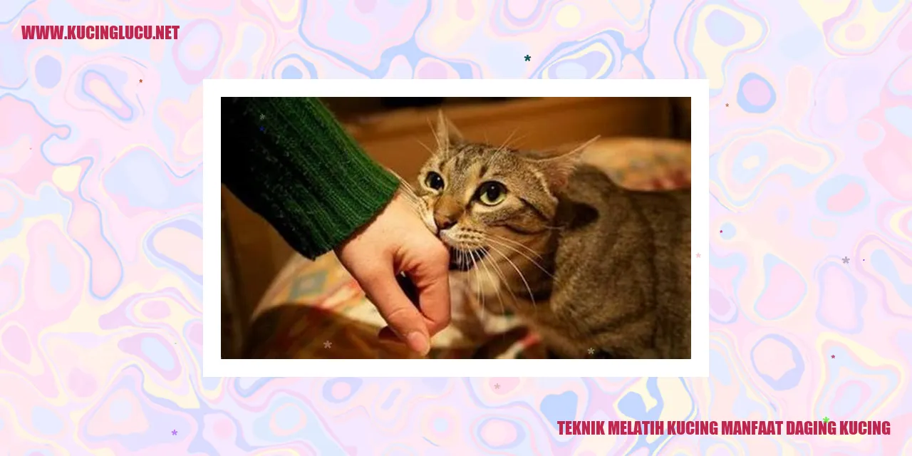 Gambar Kucing