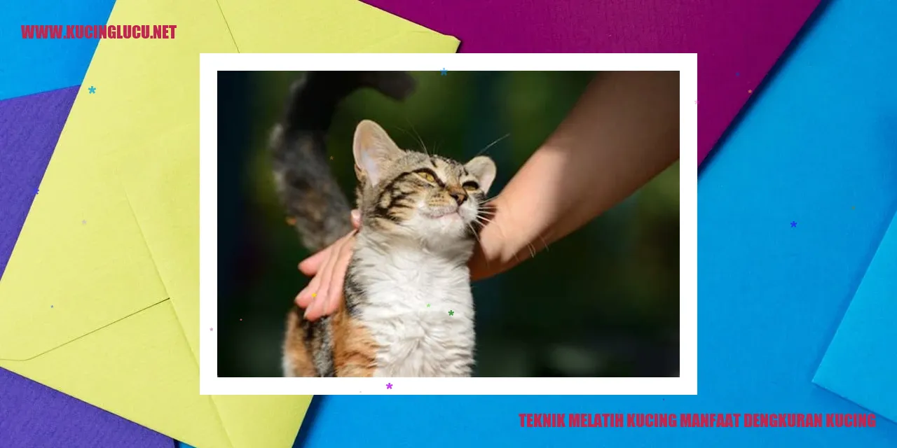 Ilustrasi Kucing