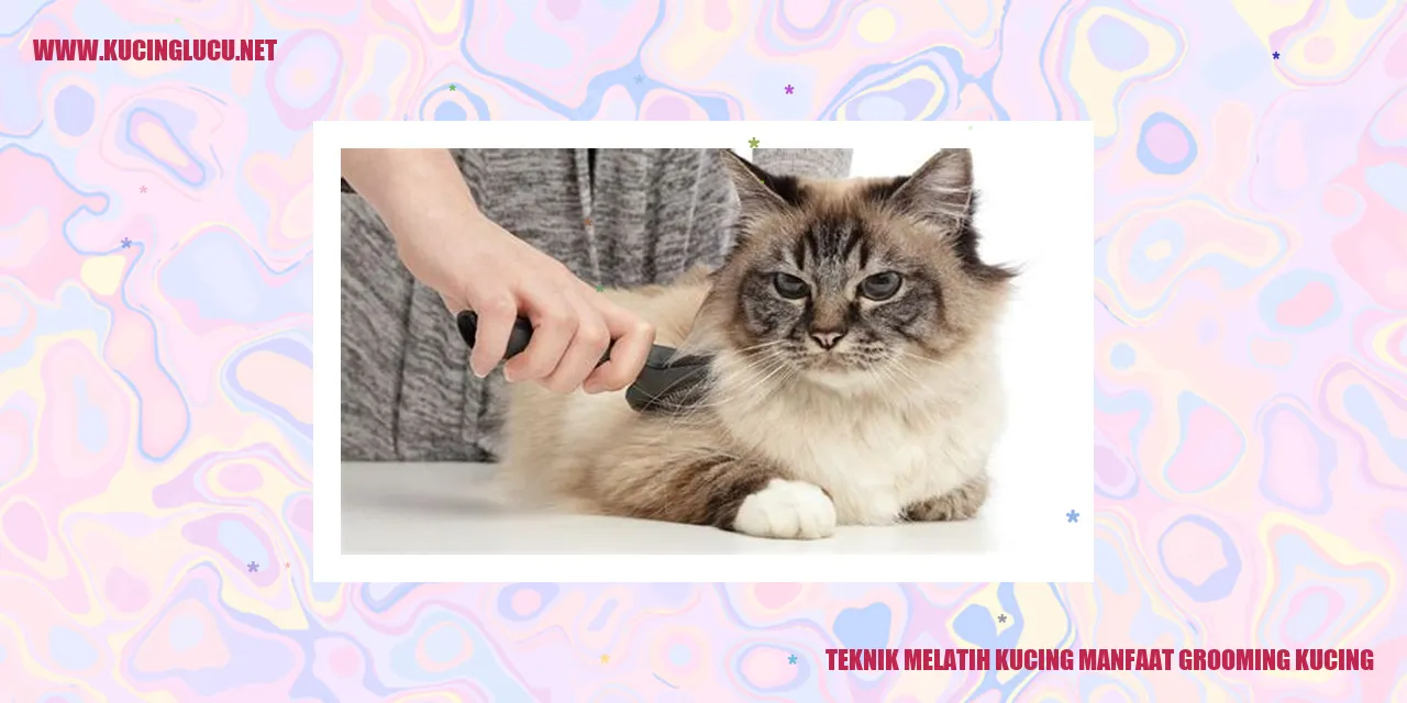 Perawatan Bulu Kucing