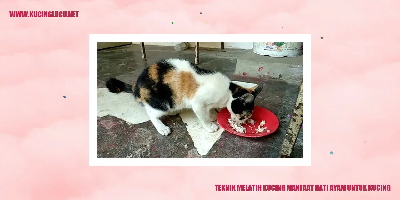 Gambar Kucing Lucu