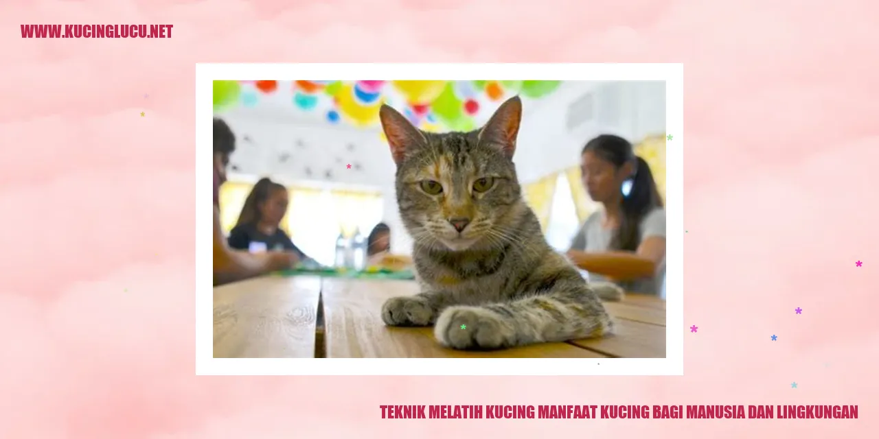 Gambar Kucing yang Menggemaskan