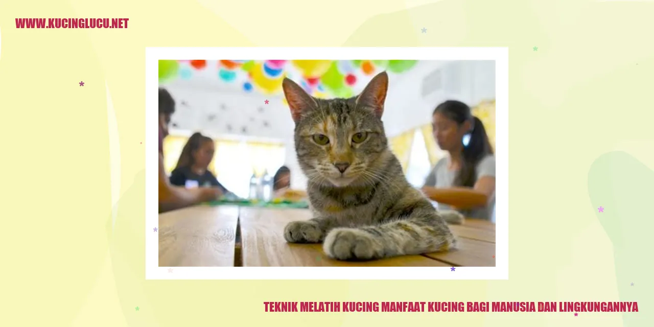 Foto Kucing yang Menggemaskan