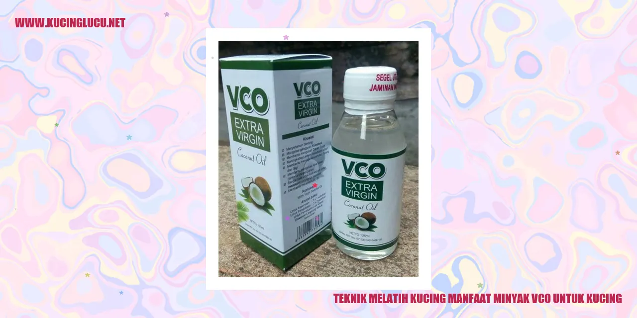 Teknik Melatih Kucing manfaat minyak vco untuk kucing