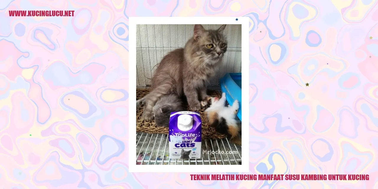 Manfaat Susu Kambing untuk Kucing