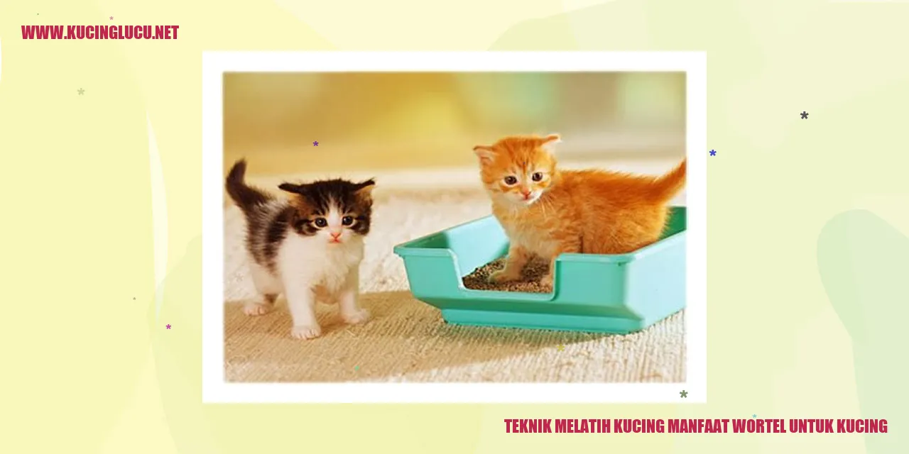 Kucing Senang Makan Wortel