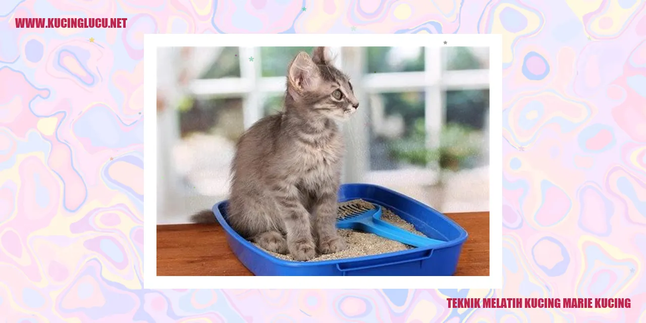 Marie kucing