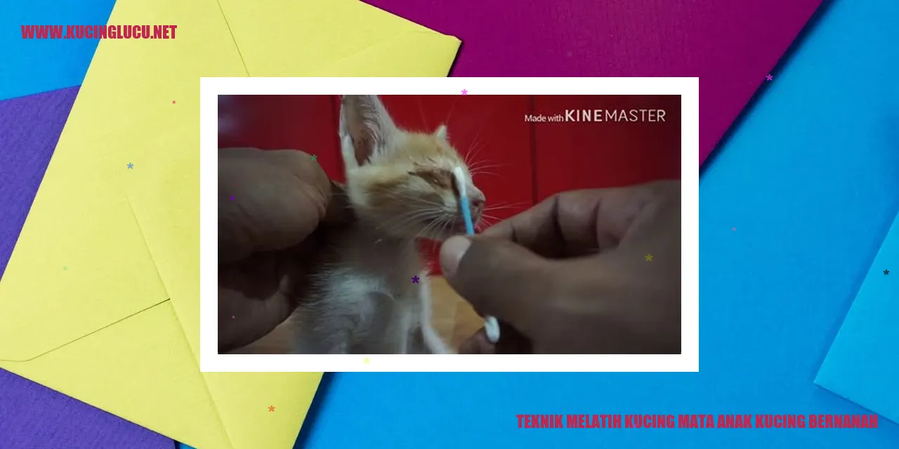 Gambar kucing bernanah