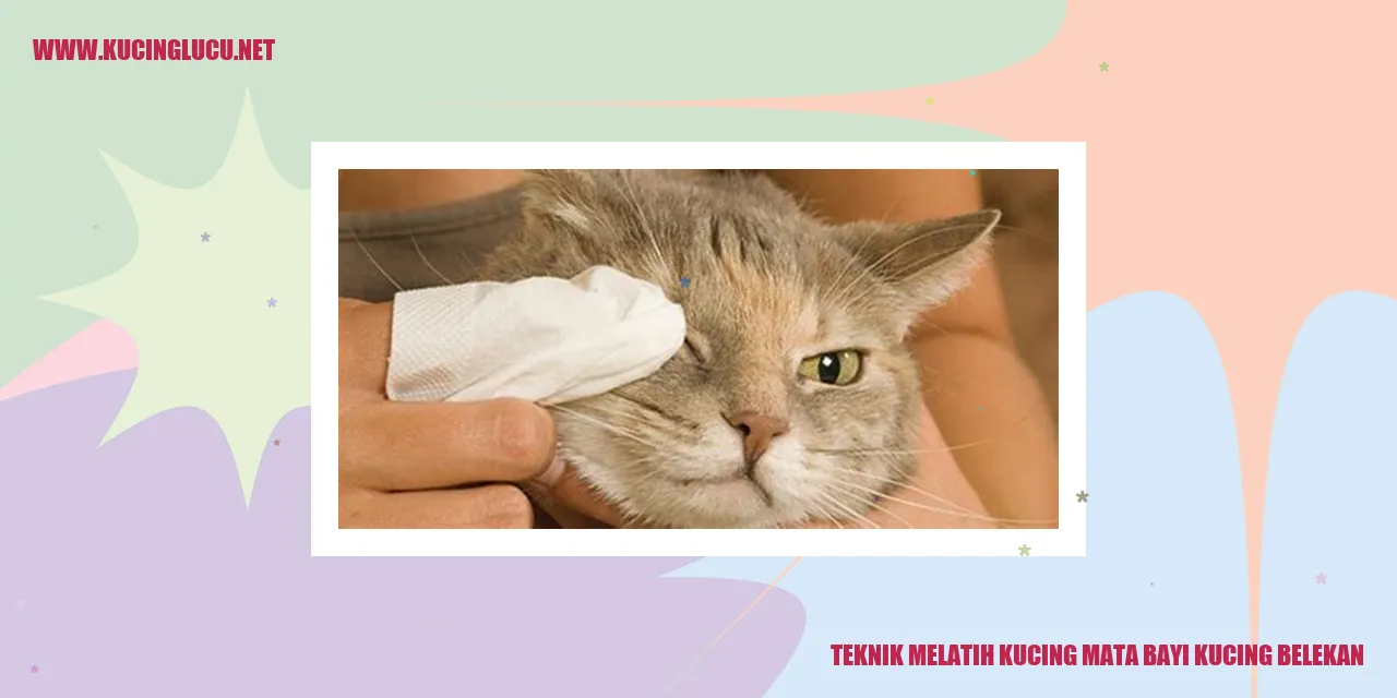 Gambar Kucing dengan Mata Bayi Belekan