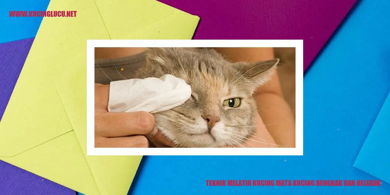 Gambar kucing dengan mata bengkak dan belekan