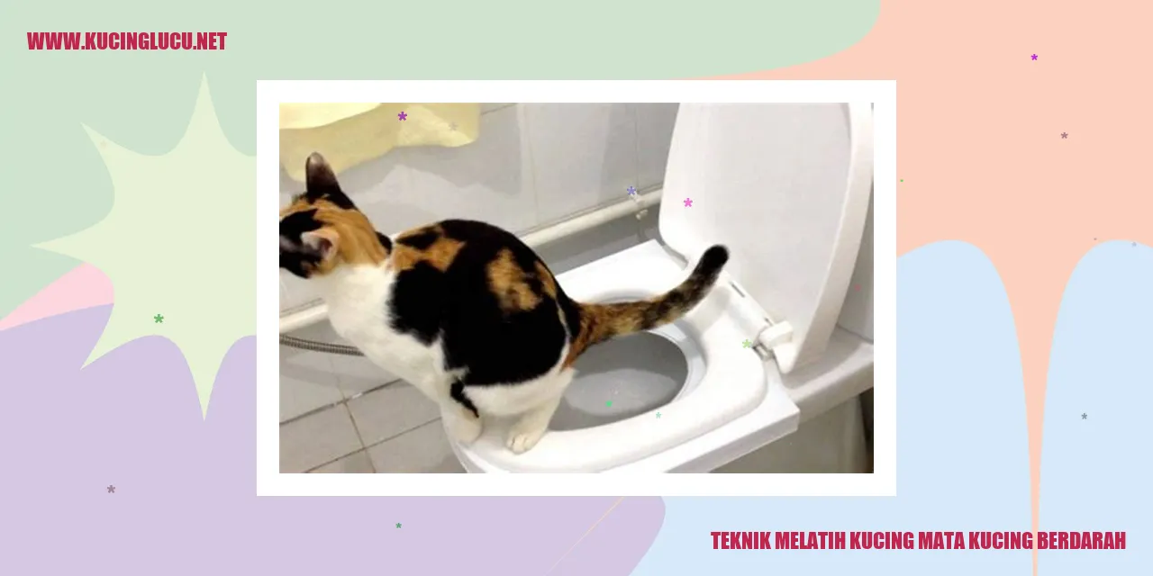 Gambar: Teknik Melatih Kucing mata kucing berdarah